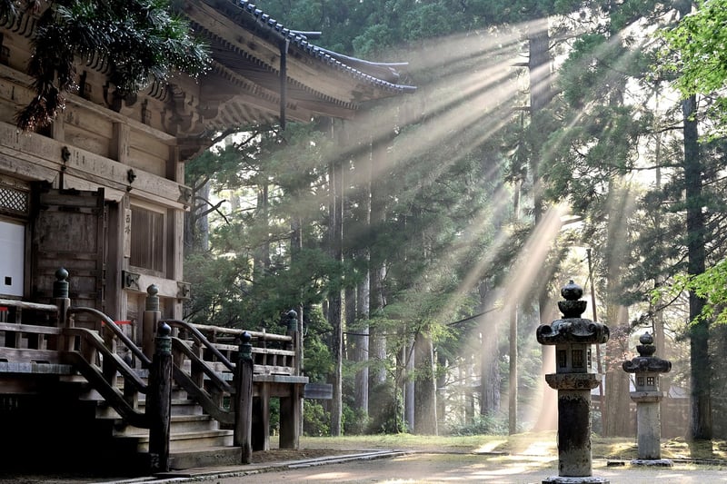 Sunbeam Veil